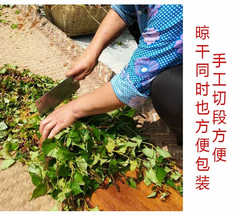 清凉特惠鱼腥草干新鲜鱼腥草茶折耳根秦岭鱼星草泡水2斤包邮