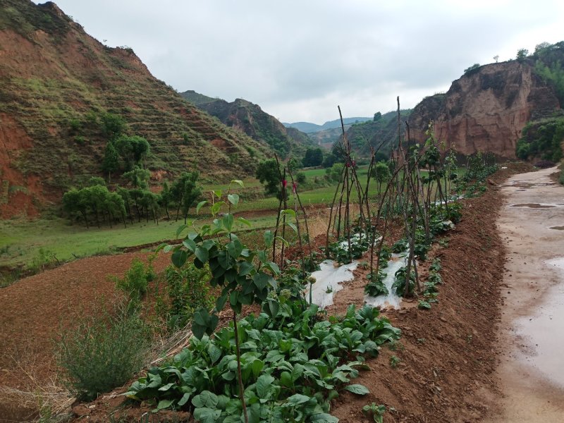 山地红土地汉地