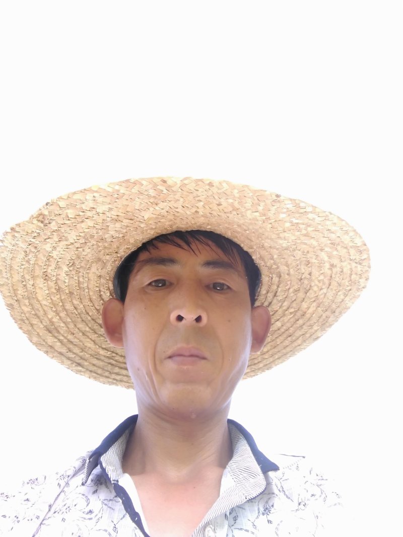 爱媛38果冻橙，爱媛28红美人，三十公分高起点