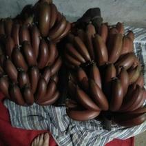 红香蕉七成熟