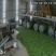 岩茶