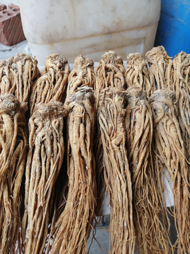 当归特大条，有要的联系我。