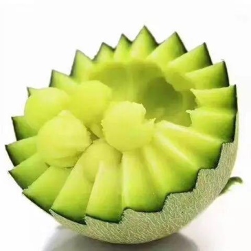 网纹瓜