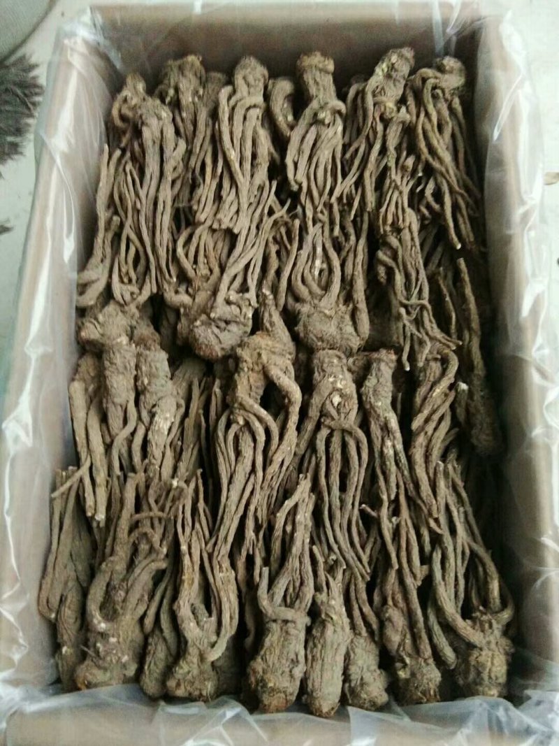 当归精品/////////