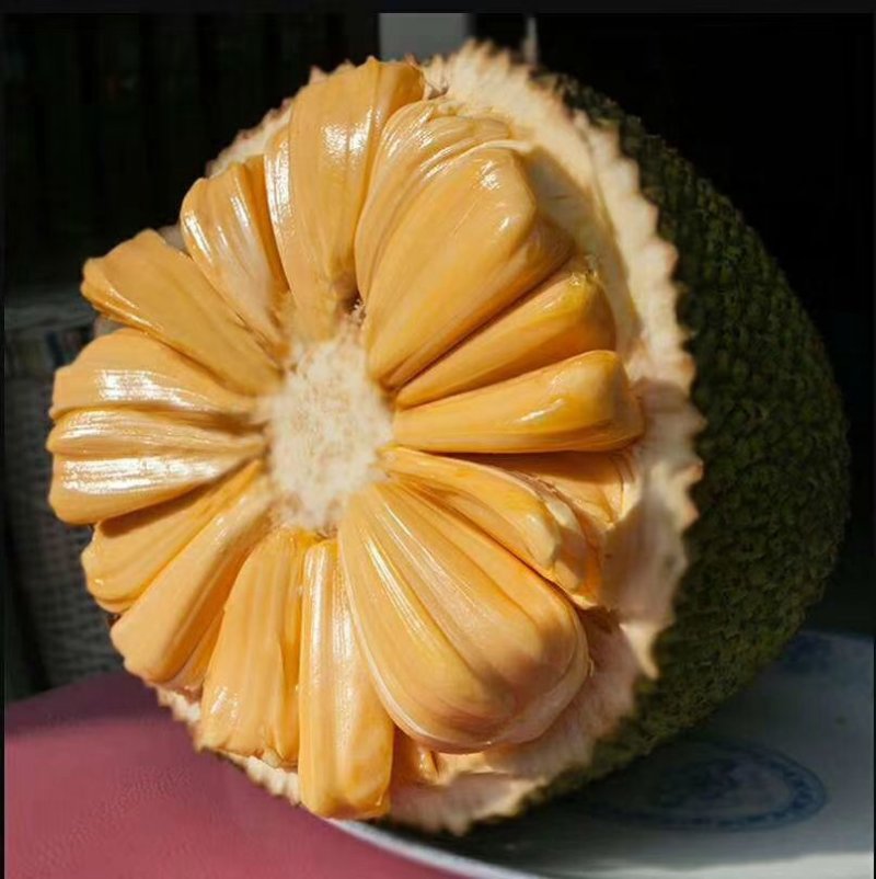 菠萝蜜