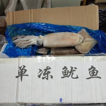 鱿鱼