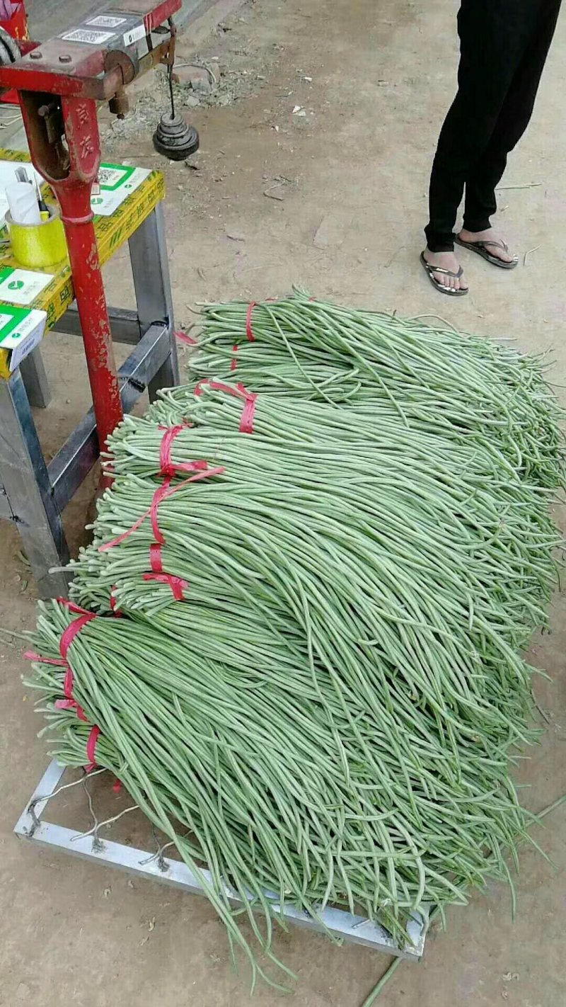 豆角