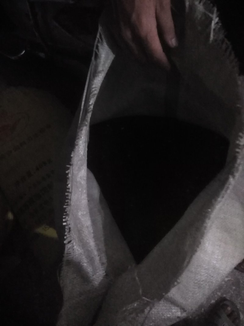 油菜籽广西壮族自治区桂林市全州县油菜籽