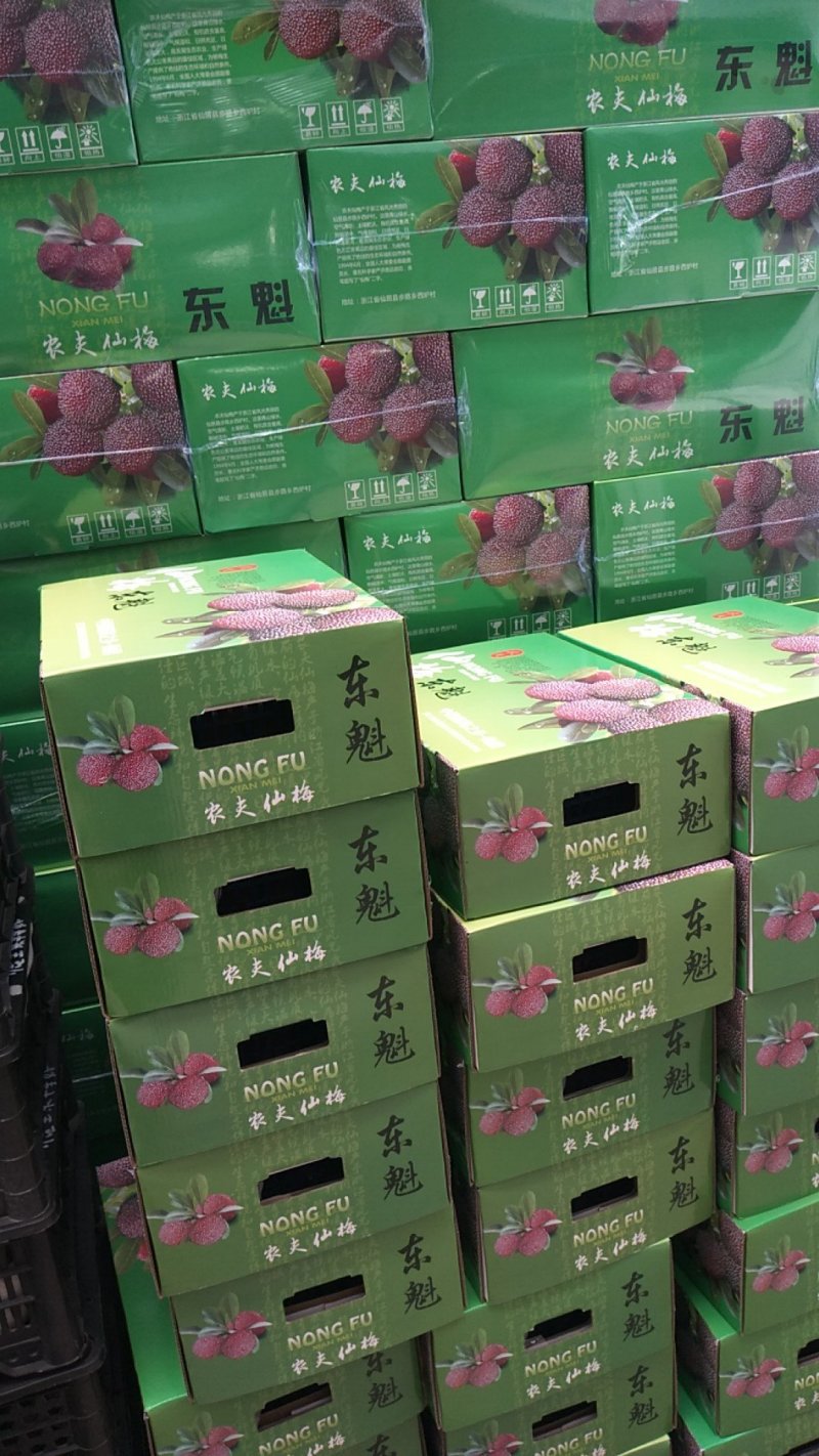 仙居东魁大杨梅产地直销