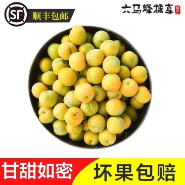 正宗贵州镇宁六马蜂糖李，批发零售