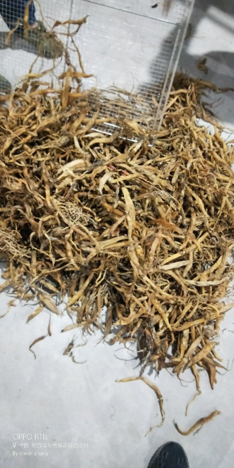 百部