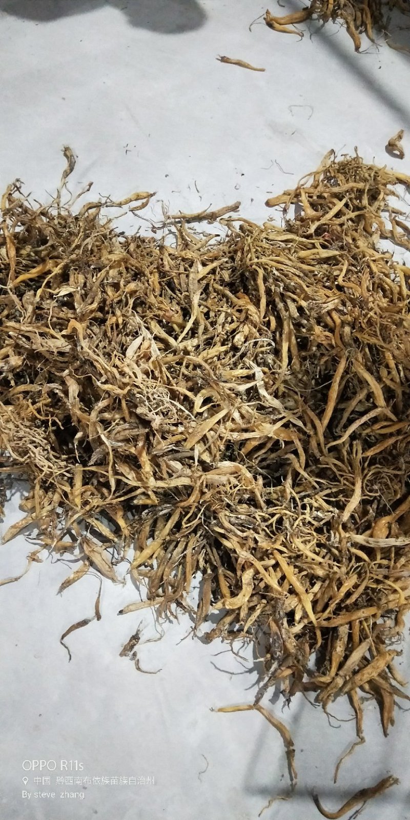 百部