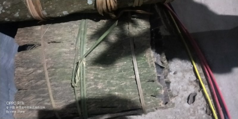 杜仲板皮