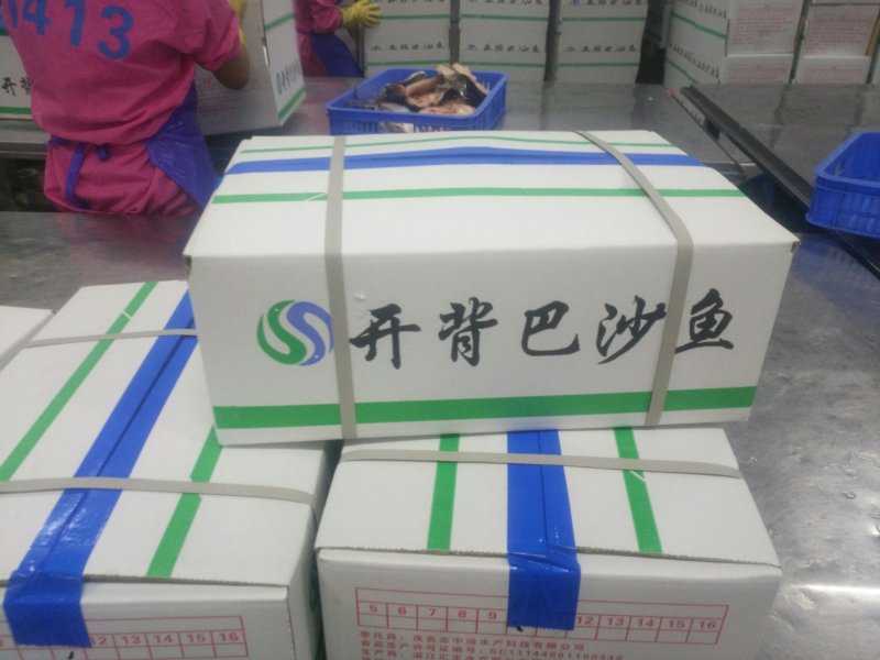 巴沙鱼