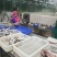 巴沙鱼