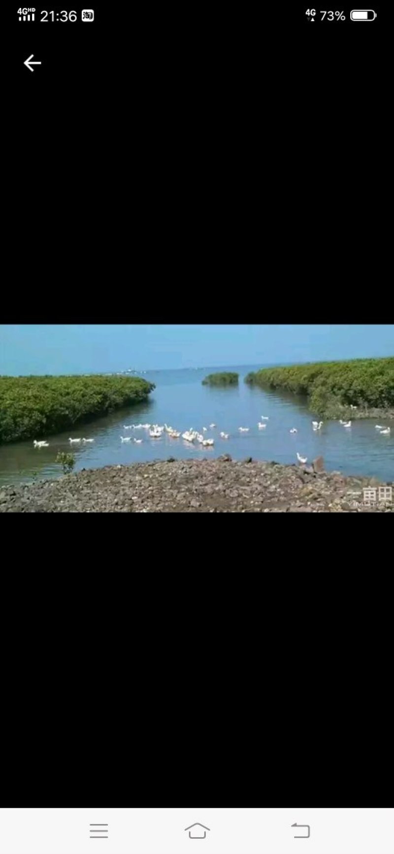 禽畜牧蛋肉