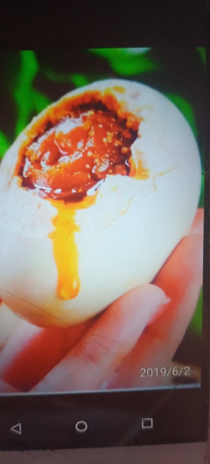 禽畜牧蛋肉
