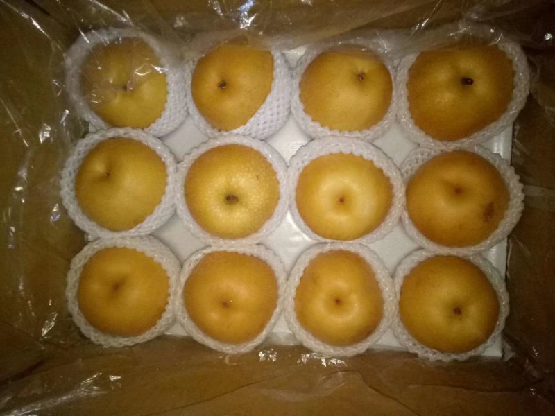1000亩黄冠梨供应，馆陶众康果品站