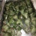 糯米粽子，真空包装干净卫生，容易储存食用方便