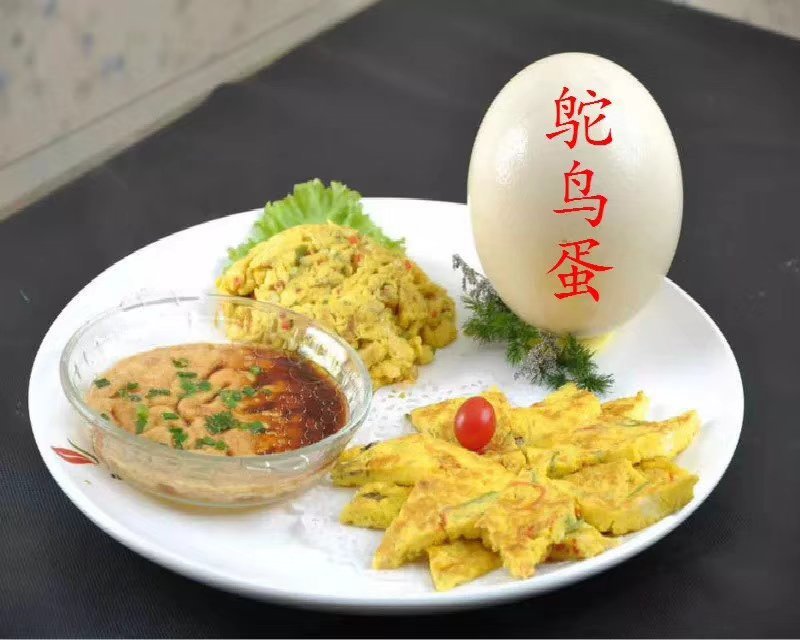 禽畜牧蛋肉