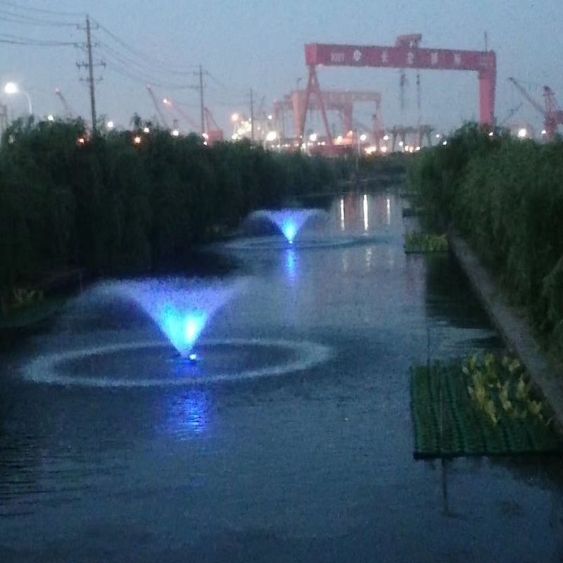花卉盆景