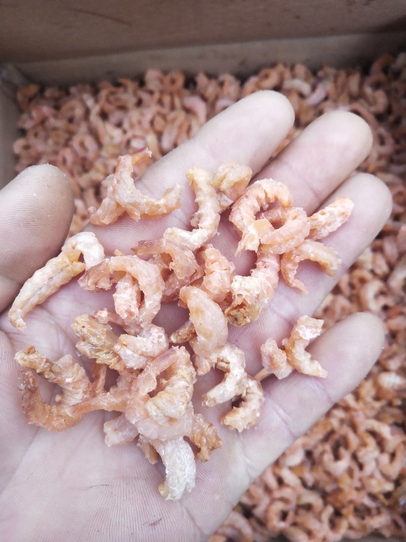 海虾米