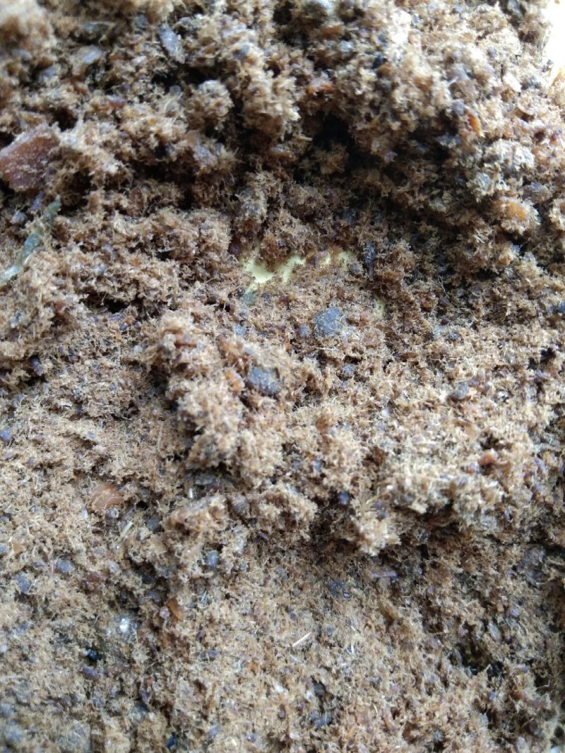 进口智利鱼粉价格低指标好鱼腥味大吸收好一吨也是港口价原装
