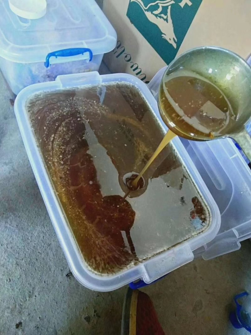 野生蜂蜜