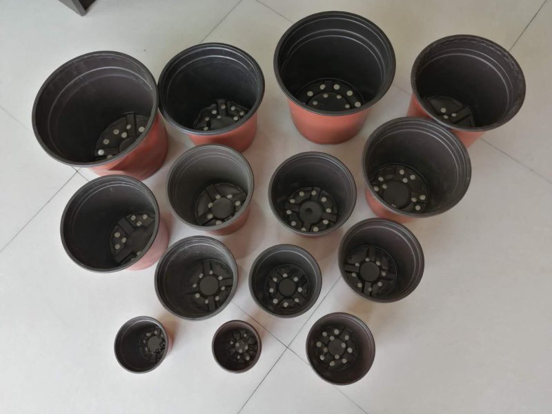 双色杯各种型号，防老化加厚版