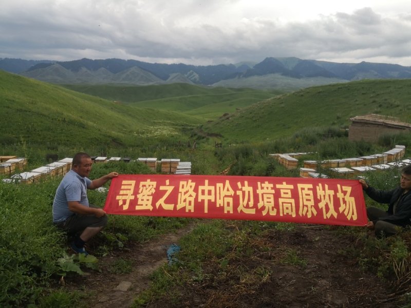蜂蜜源于2013，六年沉淀，贝母蜜