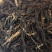 滇红普洱茶蜜香红茶特级特价厂家直销批发
