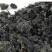 野生地木耳地皮菜地软朵大泡发率高干净无土块