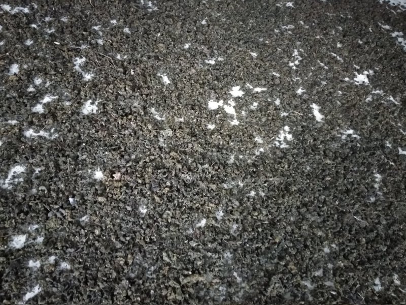 野生地木耳地皮菜地软朵大泡发率高干净无土块