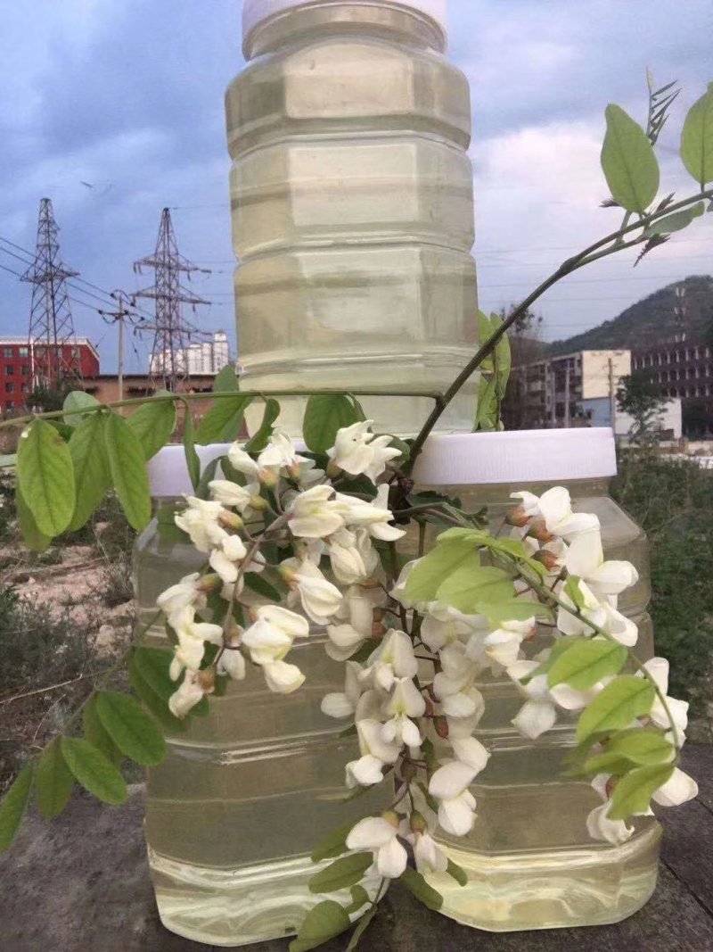 苦刺花蜜~洋槐蜜~枣花蜜