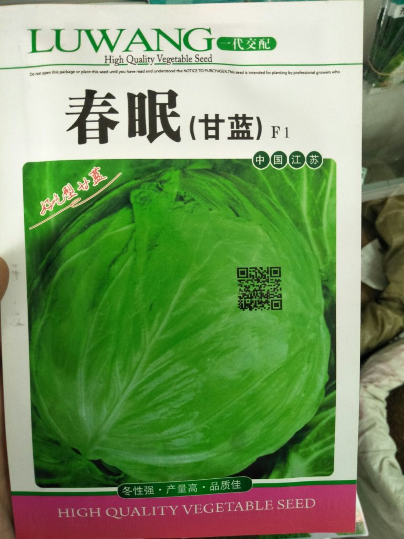 甘蓝种子