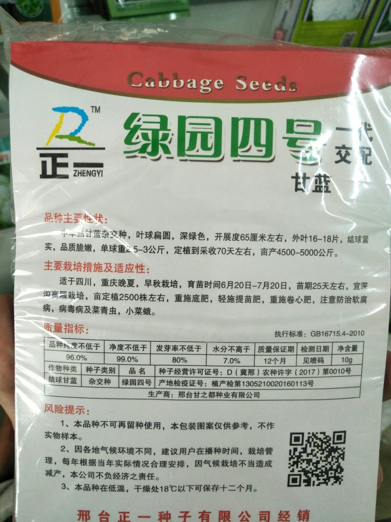 甘蓝种子
