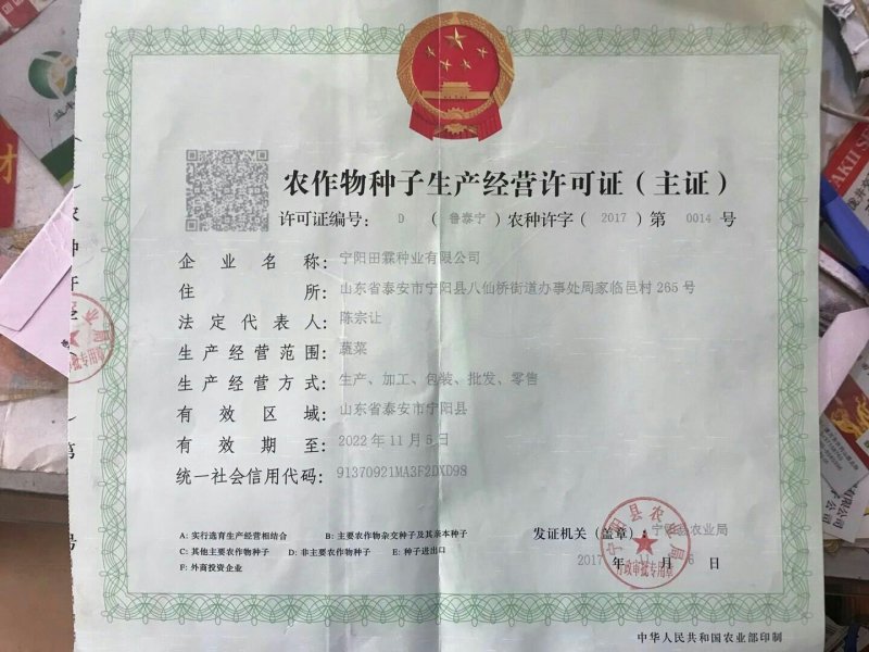 甘蓝种子