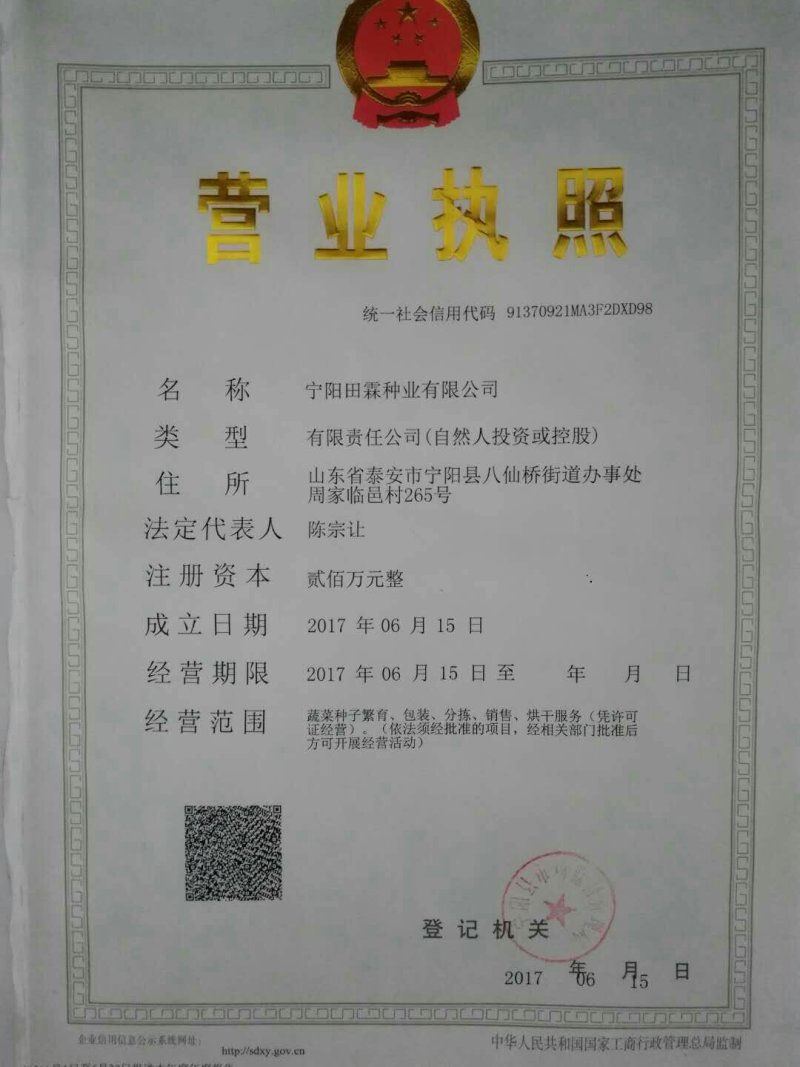 甘蓝种子