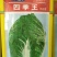 白菜种子