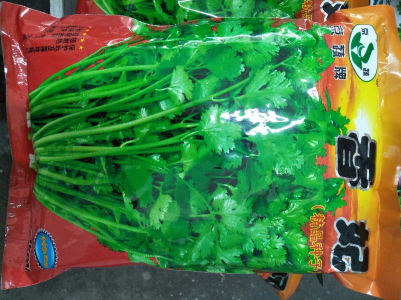香菜种子