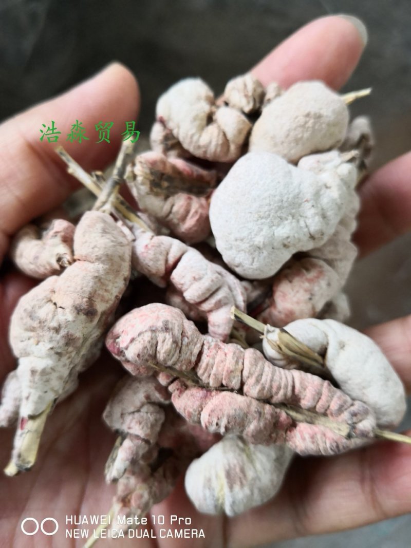 天竹黄可泡酒可中药材用2斤起包邮量大从优