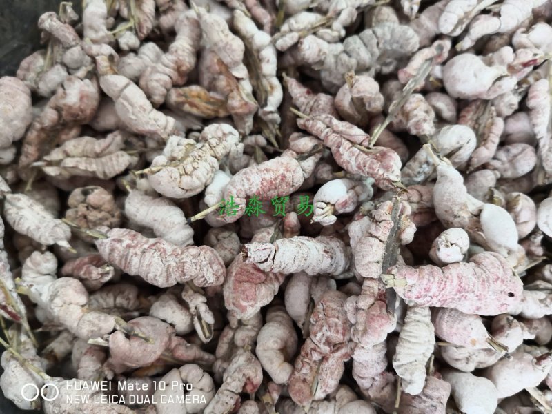 天竹黄可泡酒可中药材用2斤起包邮量大从优