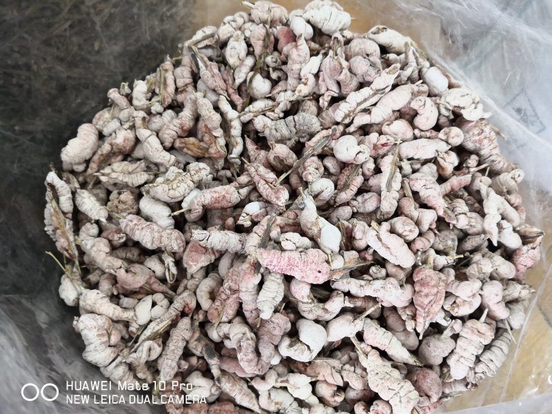 天竹黄可泡酒可中药材用2斤起包邮量大从优