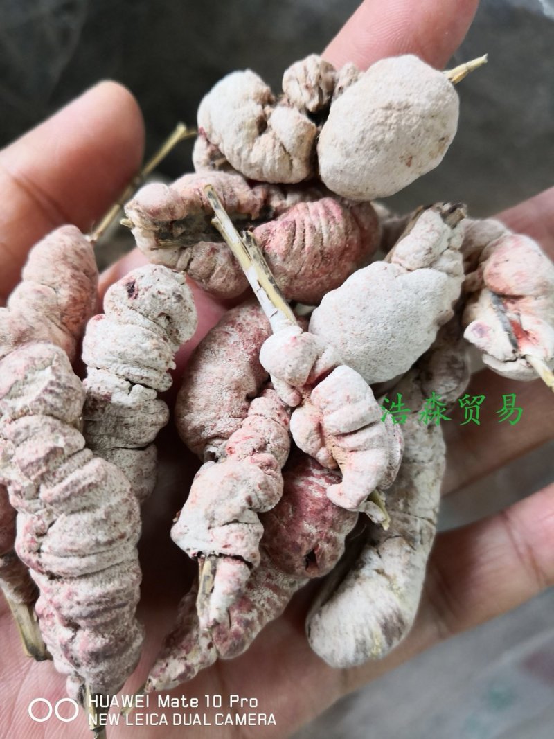 天竹黄可泡酒可中药材用2斤起包邮量大从优