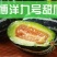 博洋系列甜瓜:又甜又脆,好吃不贵,欢迎大家前来采购
