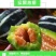 博洋系列甜瓜:又甜又脆,好吃不贵,欢迎大家前来采购