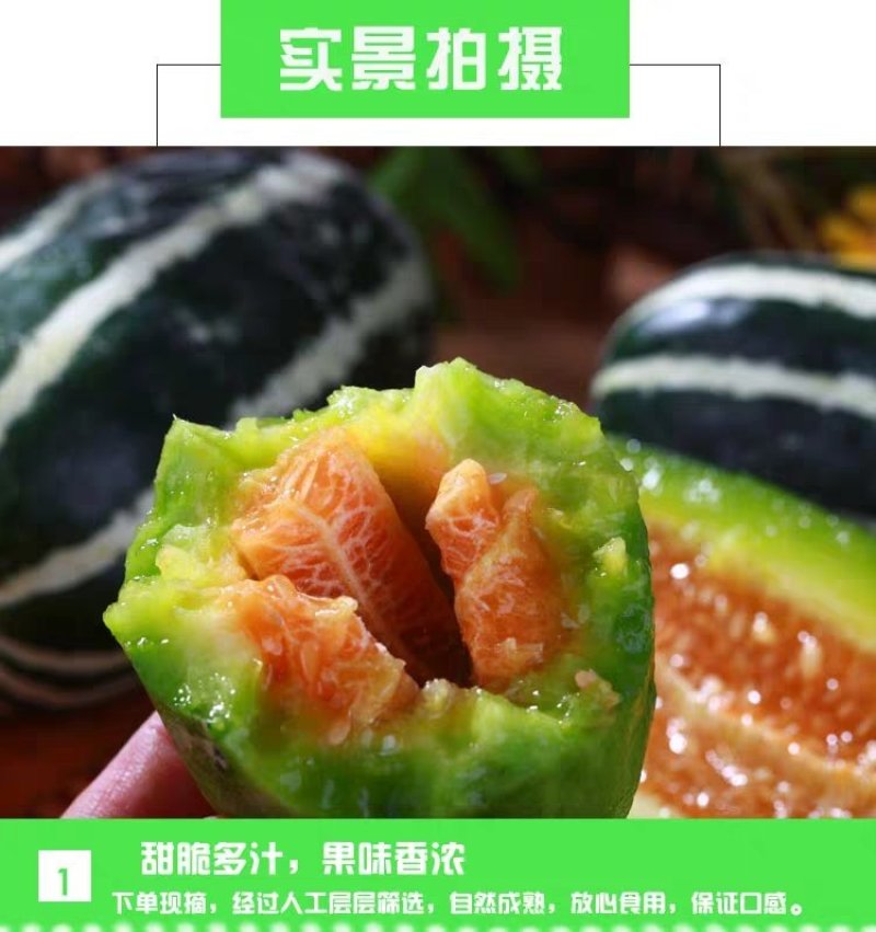 博洋系列甜瓜:又甜又脆，好吃不贵，欢迎大家前来采购