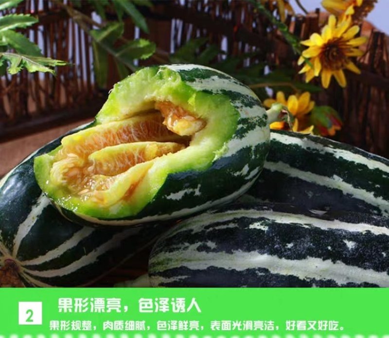博洋系列甜瓜:又甜又脆，好吃不贵，欢迎大家前来采购