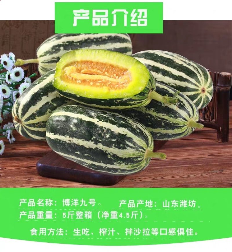 博洋系列甜瓜:又甜又脆，好吃不贵，欢迎大家前来采购