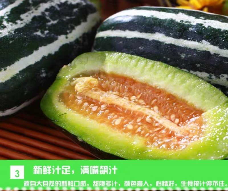 博洋系列甜瓜:又甜又脆，好吃不贵，欢迎大家前来采购